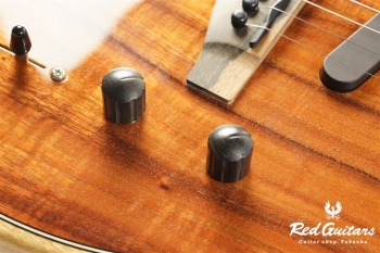 American Acoustasonic Telecaster Exotic Koa